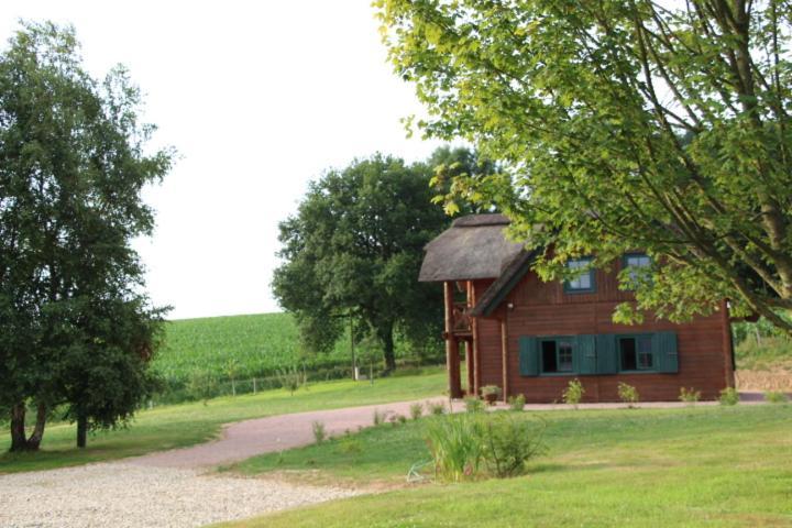Chaumière d'Albâtre -Gîte-Détente nature et bien être Ourville-en-Caux Exterior foto